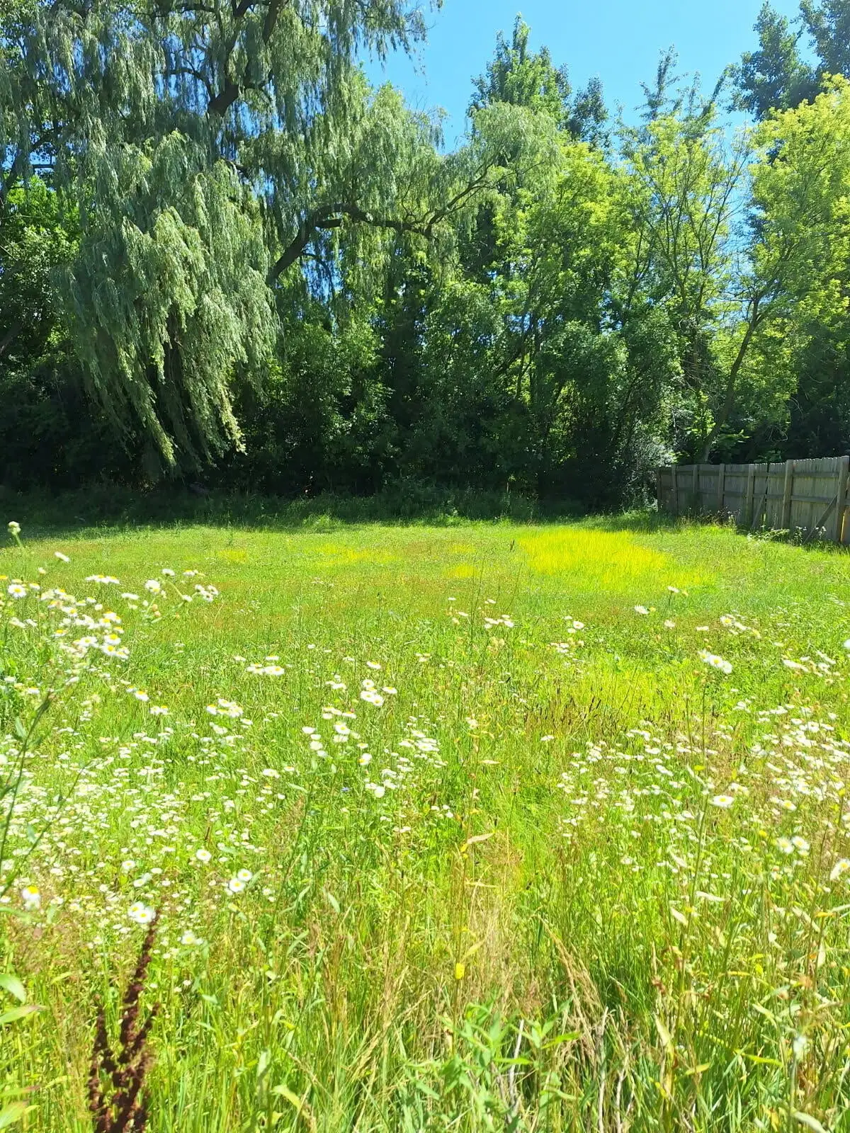 7101 Mccliggott Road, Saginaw, MI 48609 - Image #1