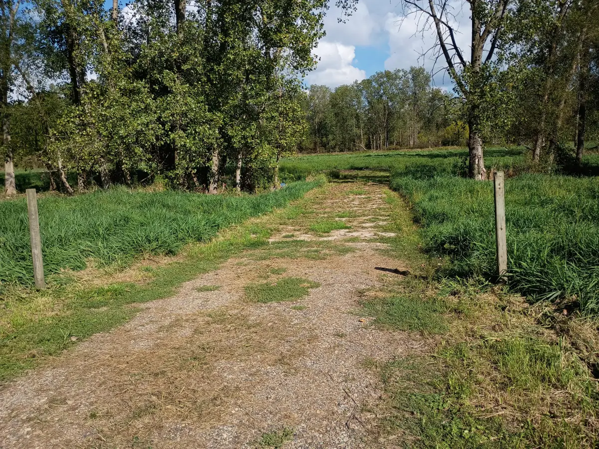 V/L 60 1/2 Street, Bangor, MI 49013 - Image #1