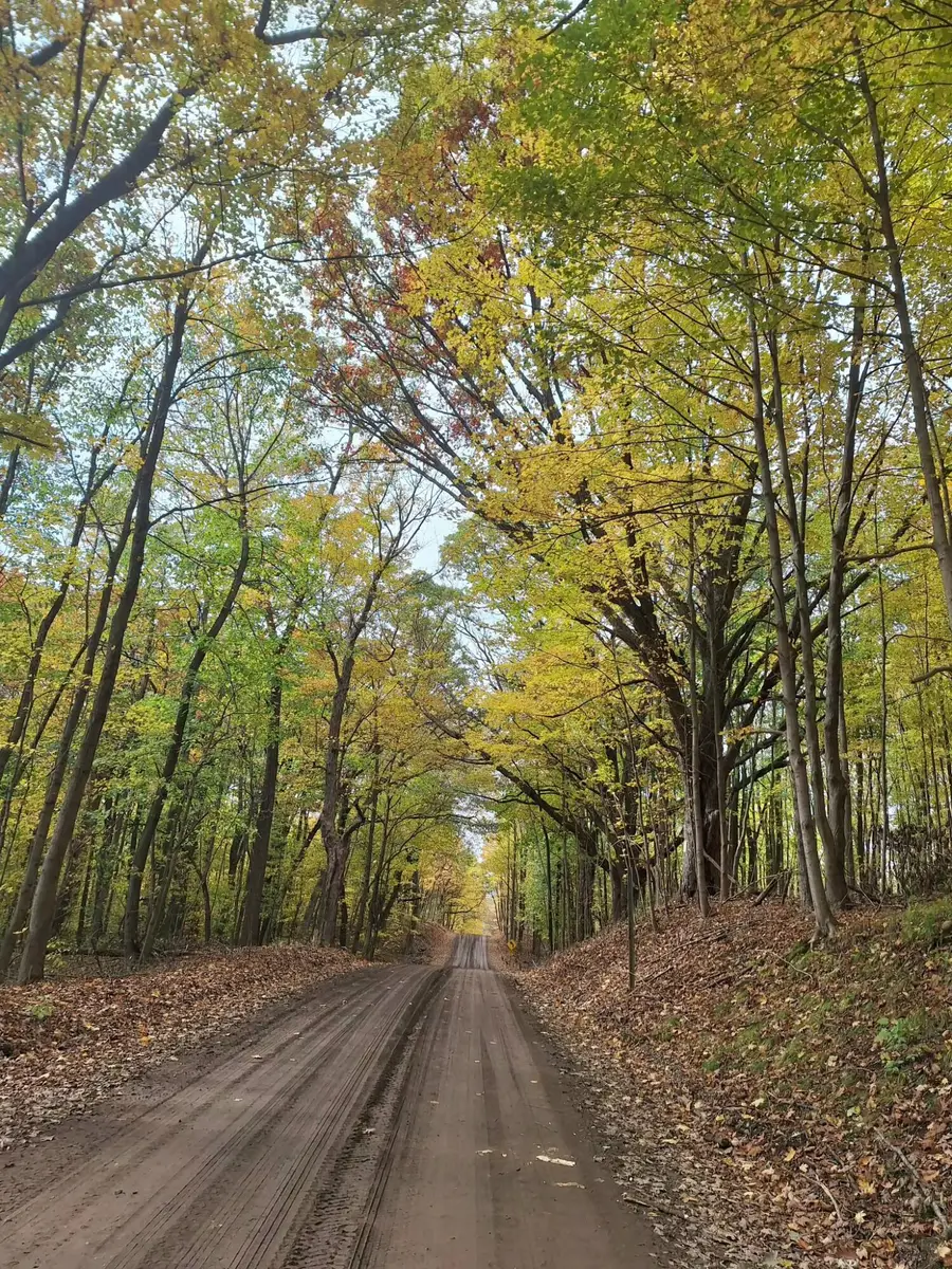 9308 W Guernsey Lake Road Road, Delton, MI 49046 - Image #3