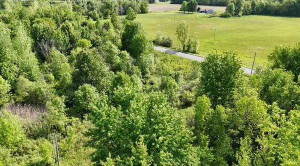 13027 Shaner Avenue Ne, Cedar Springs, MI 49319