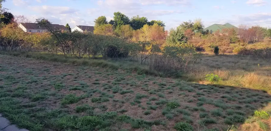 1646 Eastwind Drive, Muskegon, MI 49444 - Image #2