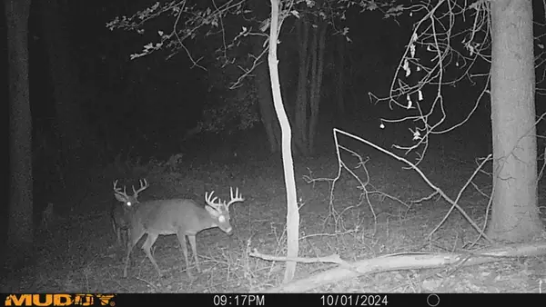 10365 E Klees Road, Crystal, MI 48818