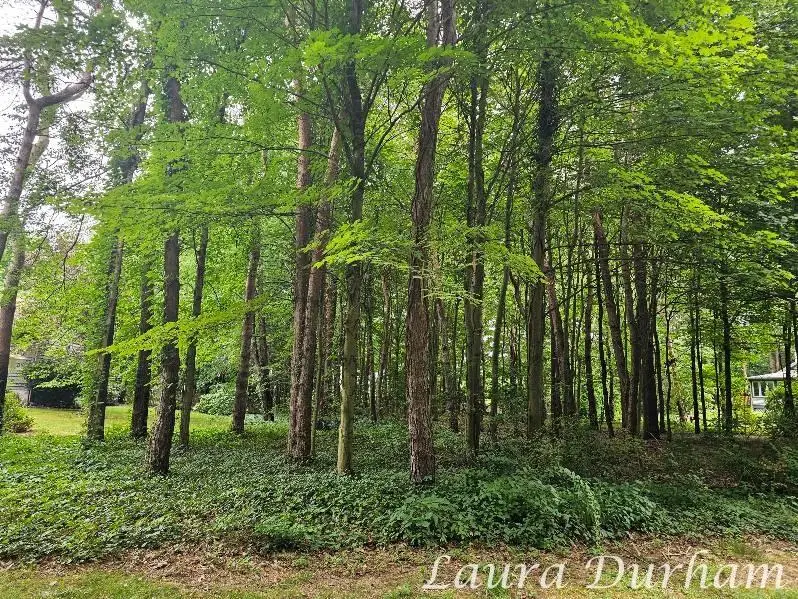 N of 3365 Clearview Lane, Saugatuck, MI 49453 - Image #1