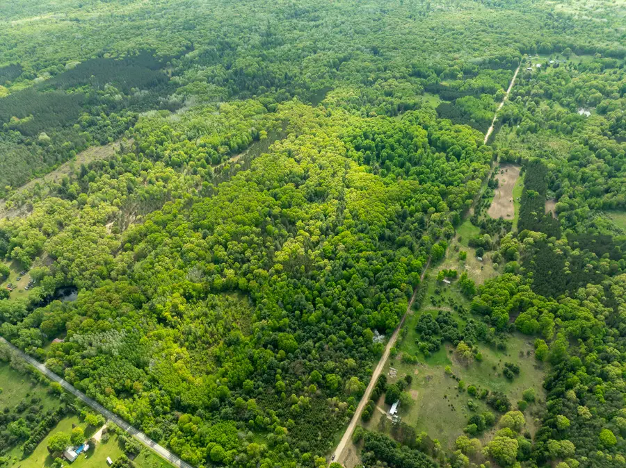 V/L S Deer Lake Road, Reed City, MI 49677 - Image #2