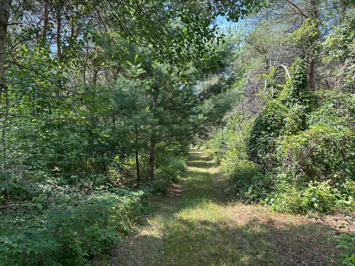 v/l Old Rugged Lane, Reed City, MI 49677 - Image #1
