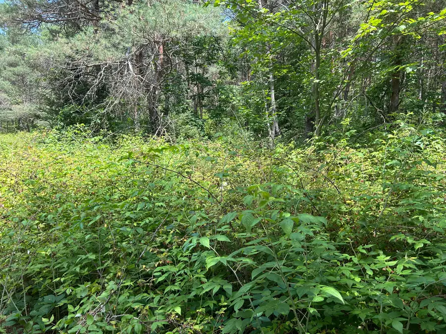 v/l Old Rugged Lane, Reed City, MI 49677 - Image #2