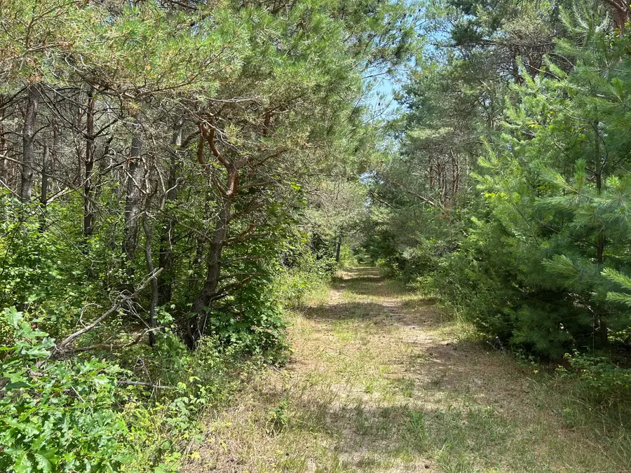 v/l Old Rugged Lane, Reed City, MI 49677 - Image #3