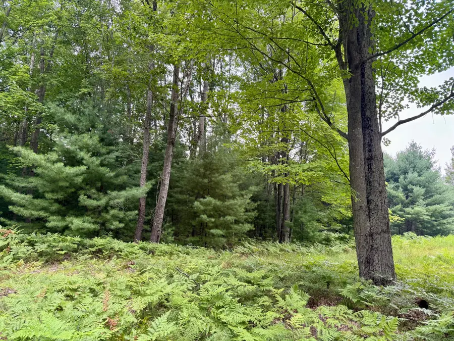 6362 Cedar Trace, Canadian Lakes, MI 49346 - Image #3