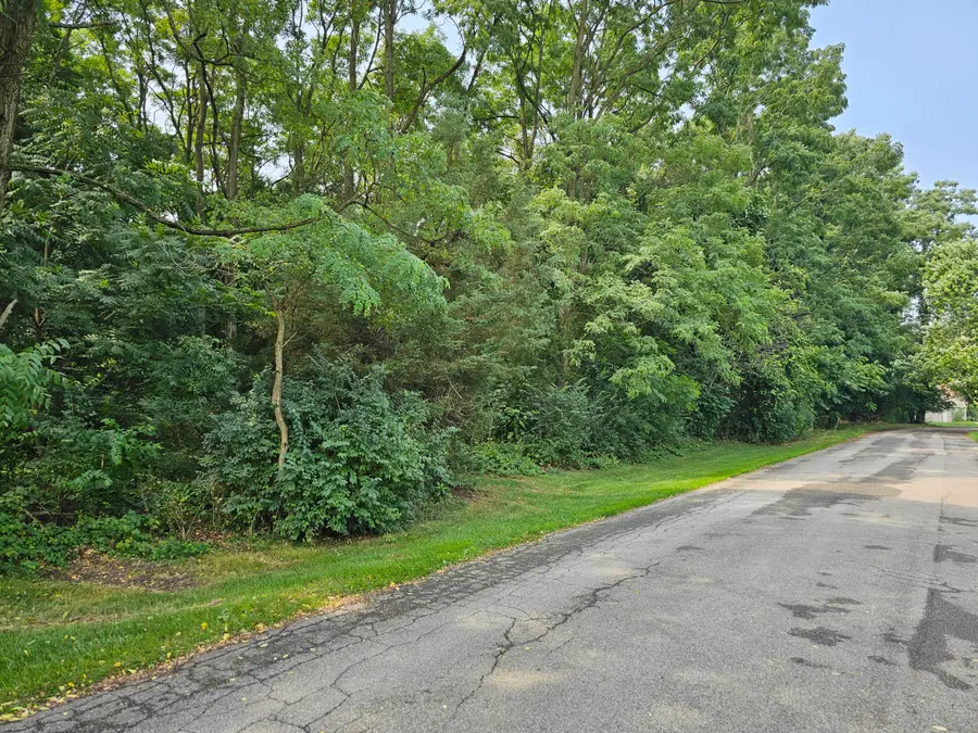 000 Short Street, Stevensville, MI 49127 - Image #2