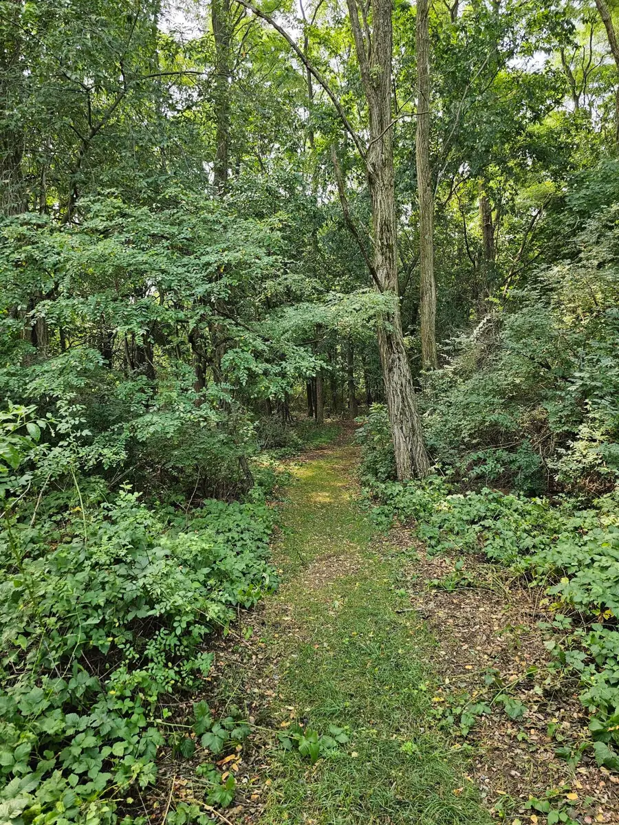 000 Short Street, Stevensville, MI 49127 - Image #3