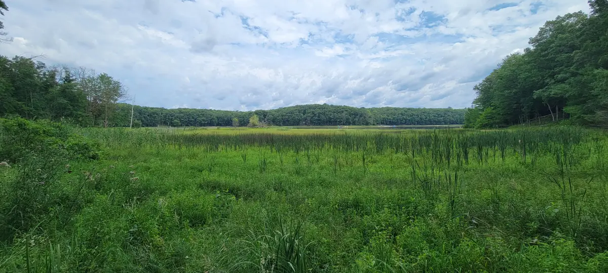 VL Trail Of The Lakes, Baldwin, MI 49304 - Image #1