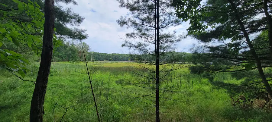 VL Trail Of The Lakes, Baldwin, MI 49304 - Image #2