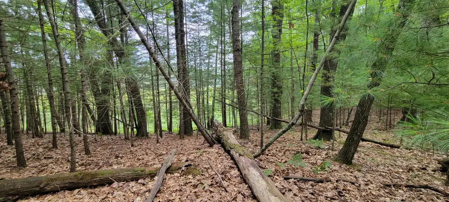 VL Trail Of The Lakes, Baldwin, MI 49304 - Image #3