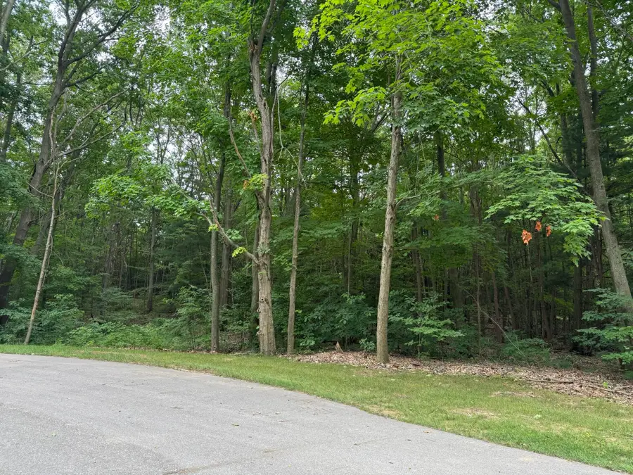 76757 Wood Crest Court, South Haven, MI 49090 - Image #2