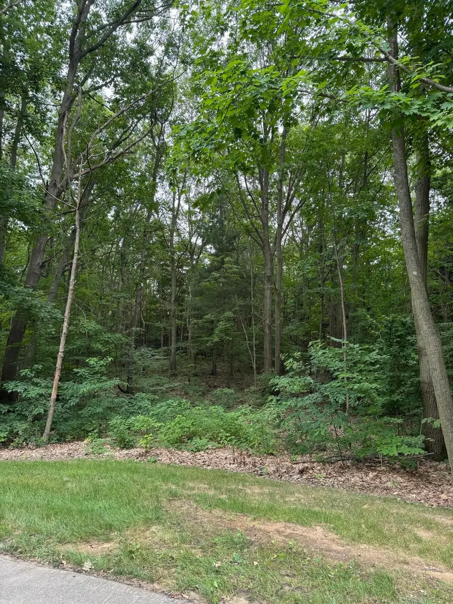 76757 Wood Crest Court, South Haven, MI 49090 - Image #3