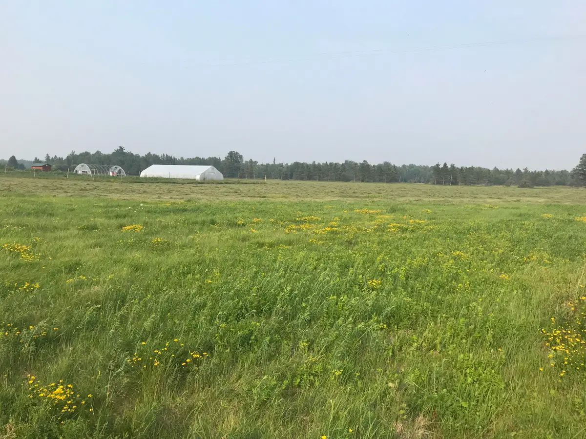 21955 S Steinbeck Road, Rudyard, MI 49780 - Image #1