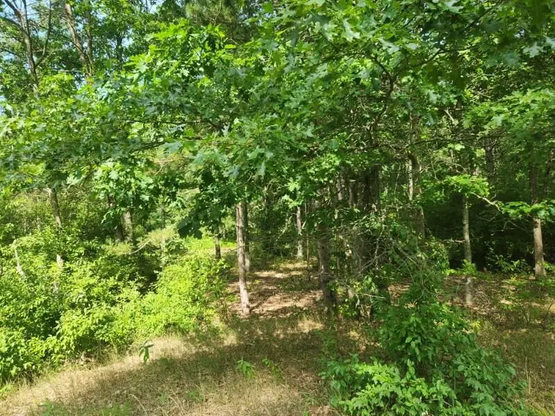 7373 S Riverbend Road #Lot 53, Branch, MI 49402 - Image #3