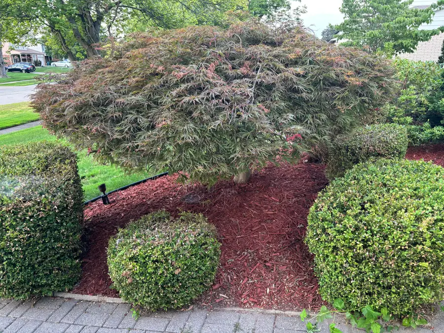 26256 Meadowbrook Way, Lathrup Village, MI 48076 - Image #3