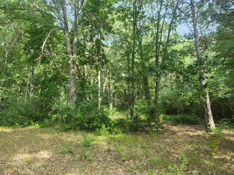 7354 S Riverbend Road #LOT 52, Branch, MI 49402 - Image #1