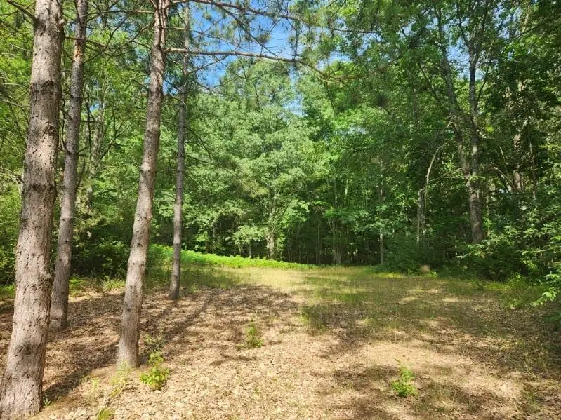 7354 S Riverbend Road #LOT 52, Branch, MI 49402 - Image #2