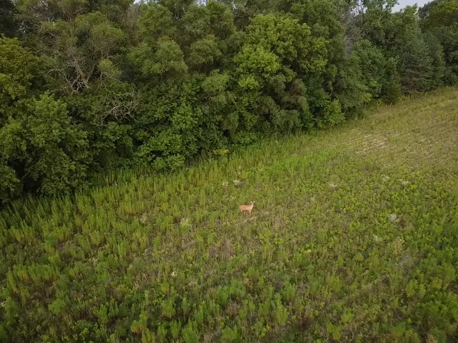 3201 W Grand Blanc Road, Swartz Creek, MI 48473 - Image #3