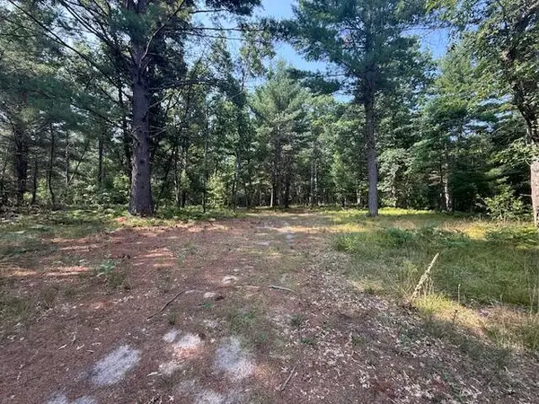 624 W 12th Street, Baldwin, MI 49304