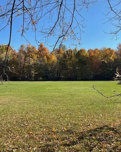 V/L Cr 215, Lawrence, MI 49064 - Image #1