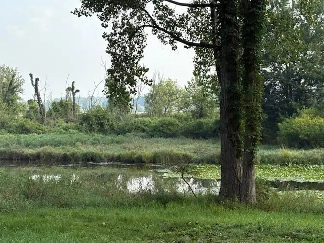 27 1/2 Mile Road, Albion, MI 49224 - Image #2