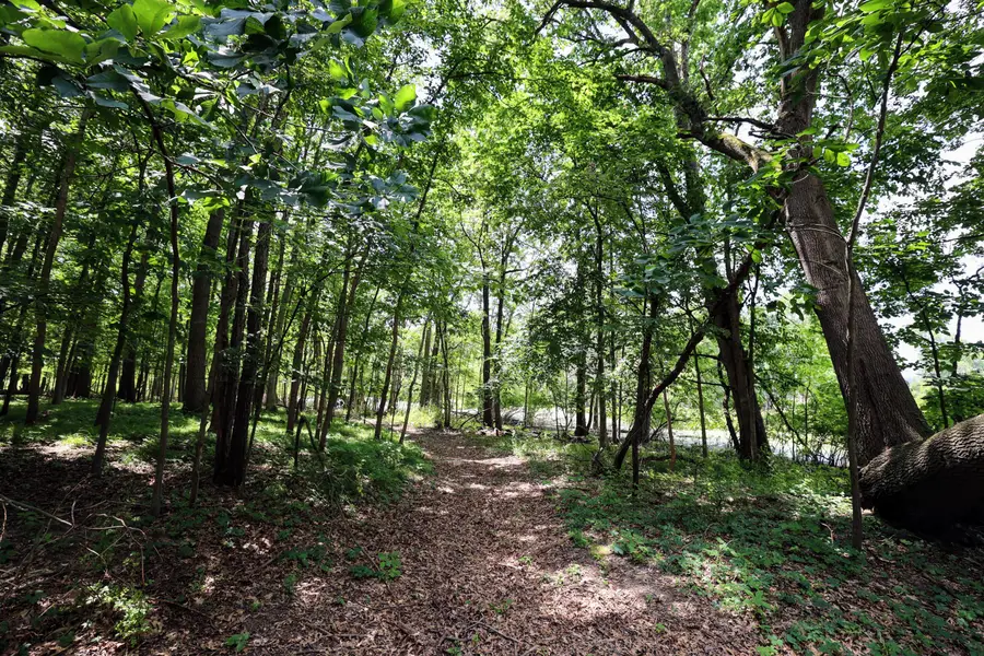 25270 B Drive S, Albion, MI 49224 - Image #2