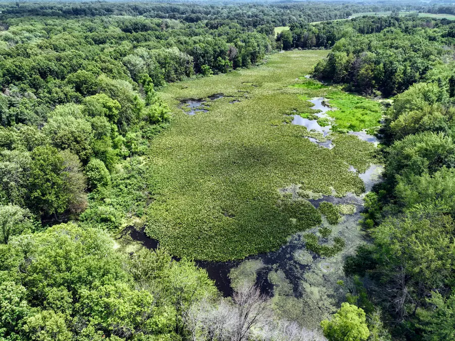 25270 B Drive S, Albion, MI 49224 - Image #3