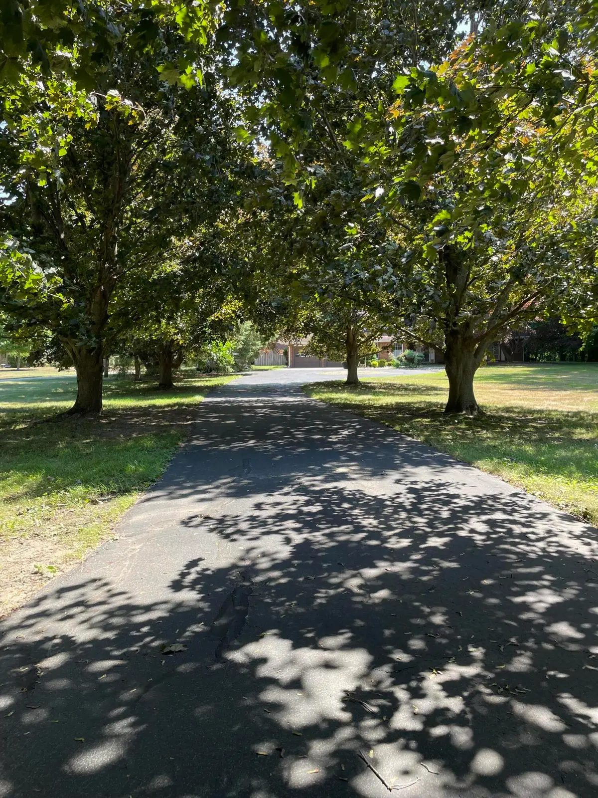 4481 Cleveland Avenue, Stevensville, MI 49127 - #1