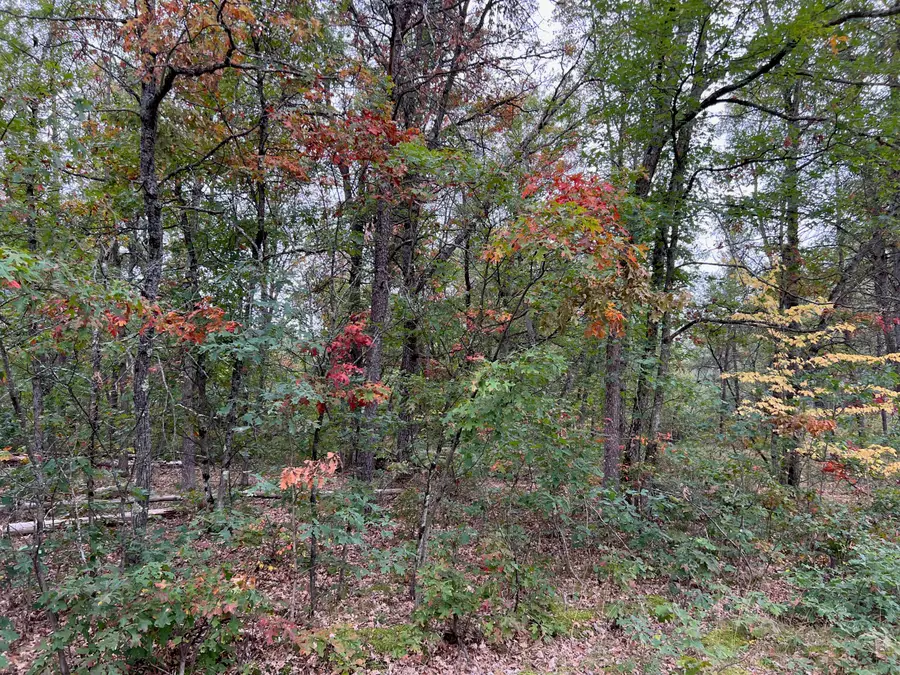 2693 W Mayfair Street, Baldwin, MI 49304 - Image #3