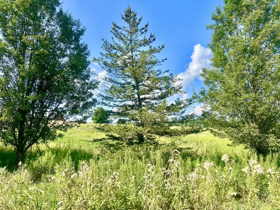 Dimmers Road, Reading, MI 49274 - Image #3