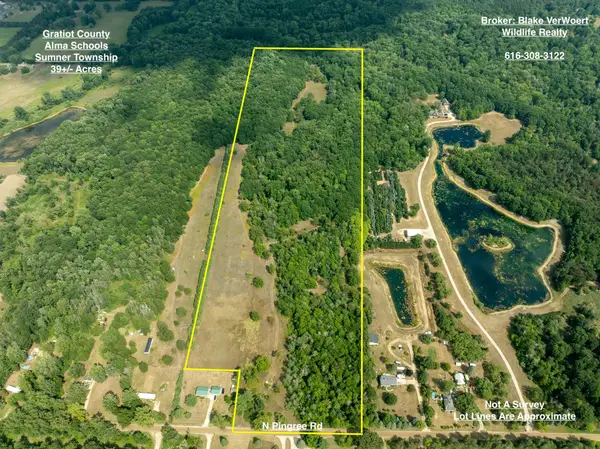 39acres N Pingree Road, Alma, MI 48801