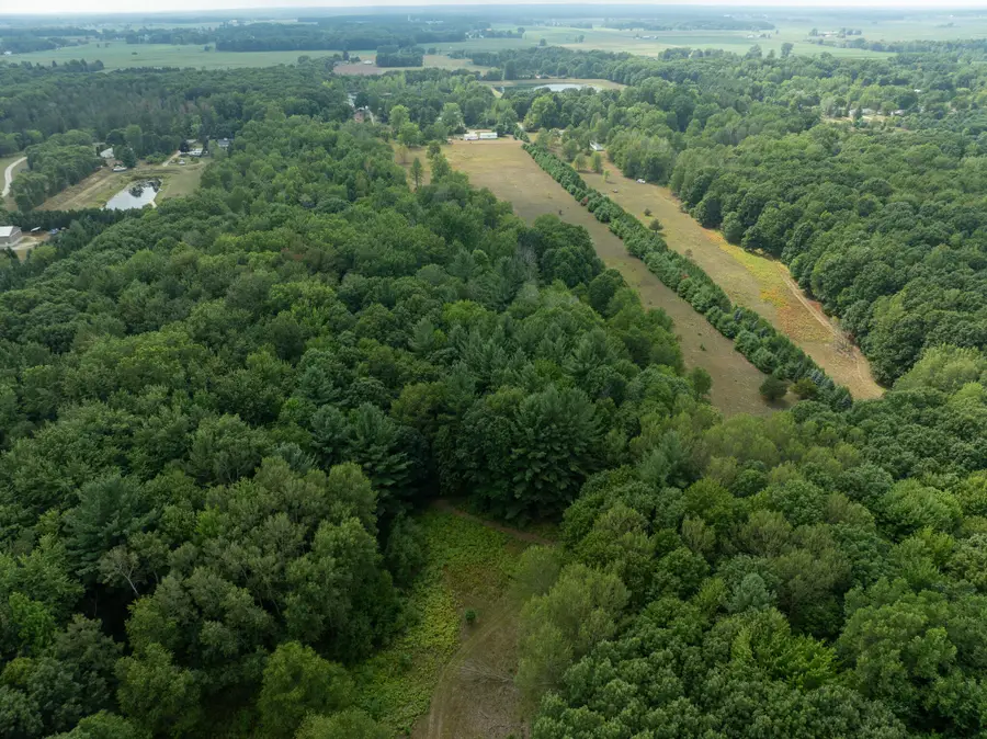 39acres N Pingree Road, Alma, MI 48801 - Image #3
