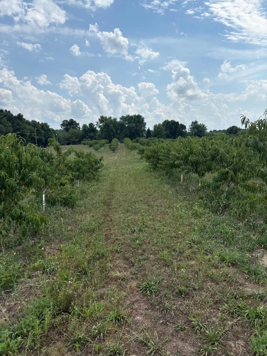 VL S Arent Road, Watervliet, MI 49098 - Image #3