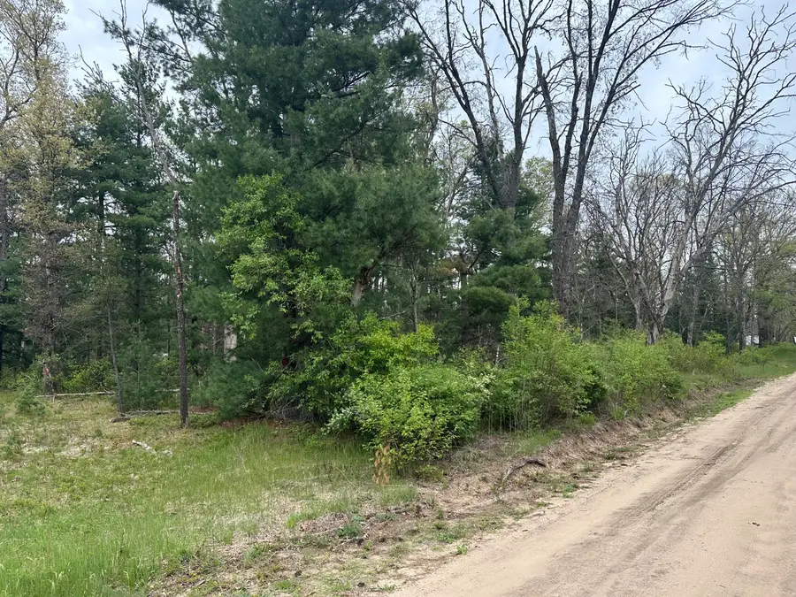 00 S Forman Road, Idlewild, MI 49642 - Image #3