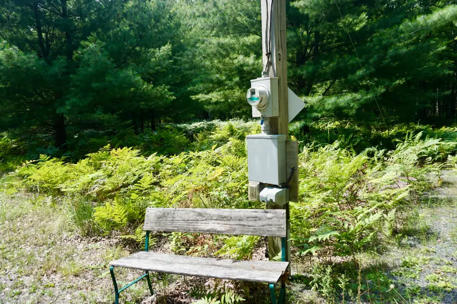 3077 S Tyndall Road, Branch, MI 49402 - Image #3