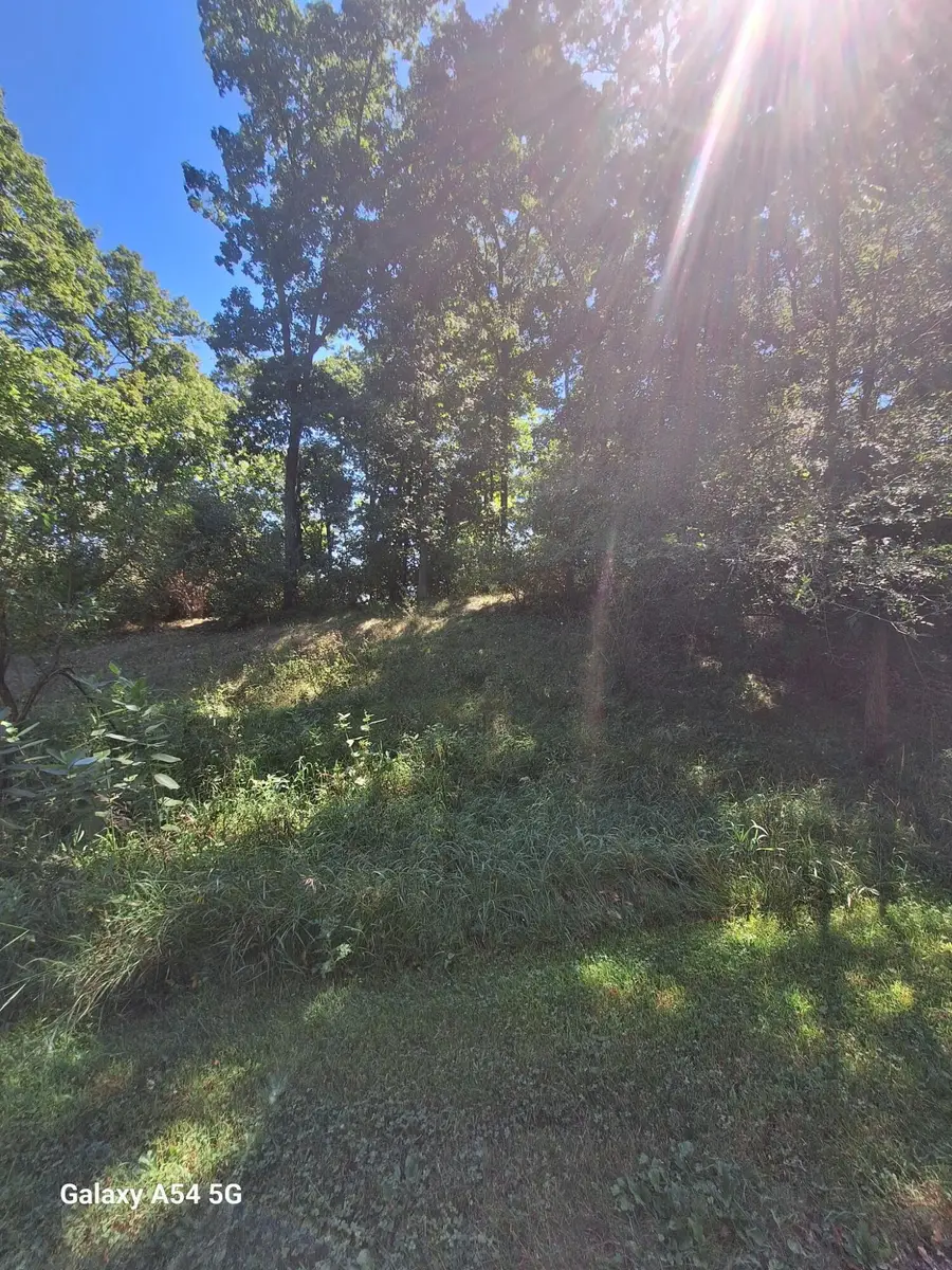 Lot #78 Lake Bluff, Grass Lake, MI 49240 - Image #2