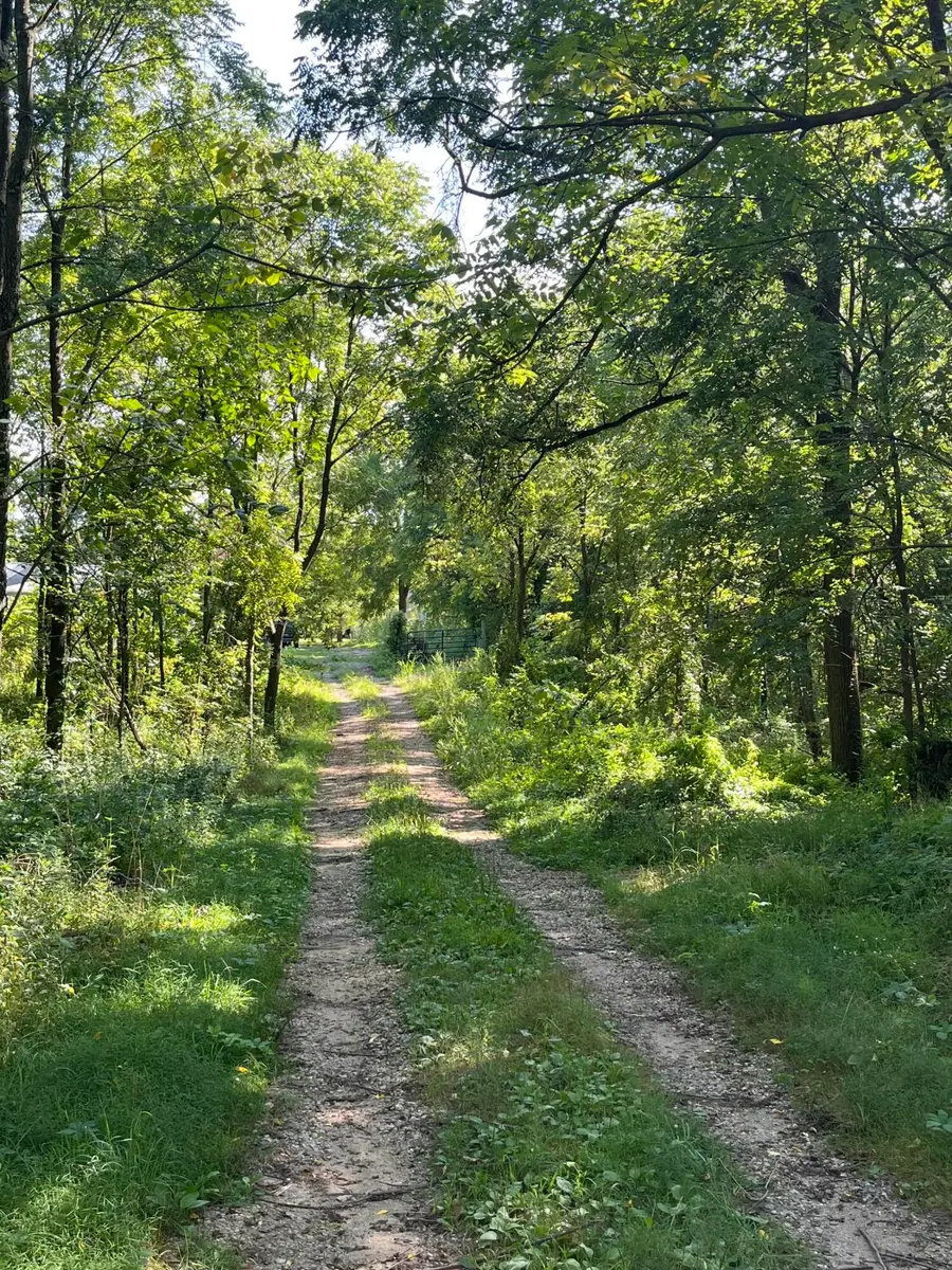 128 Washington Street, Galesburg, MI 49053 - Image #3