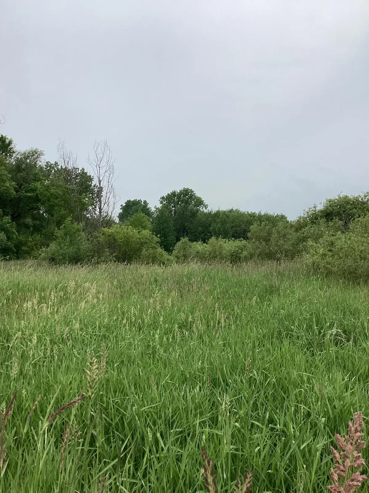 16400 Zuehlke Road, Albion, MI 49224 - Image #1