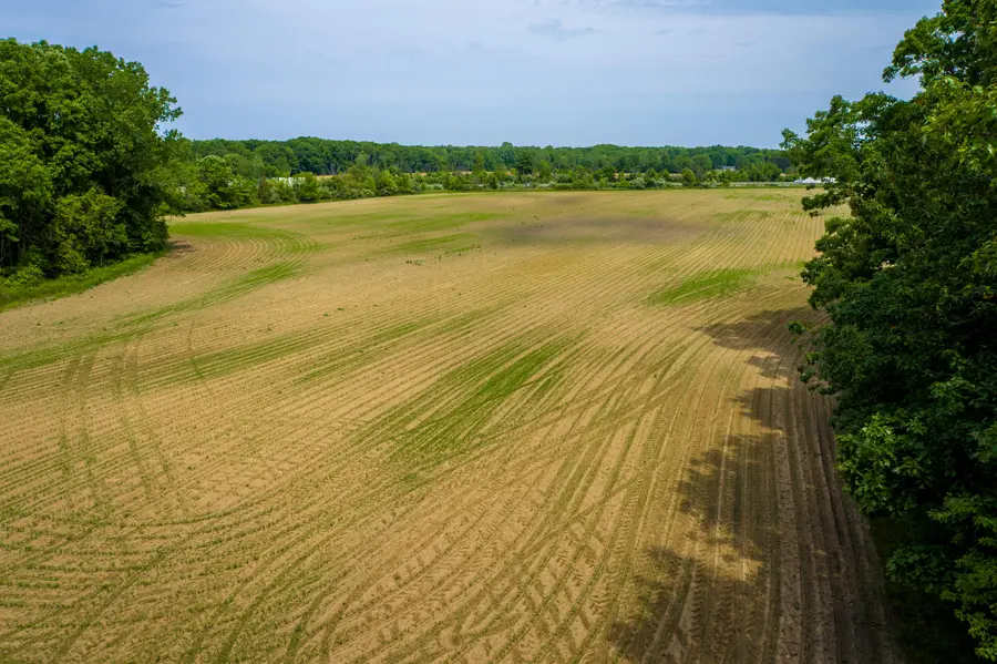W Warren Woods Road, Lakeside, MI 49128 - #2