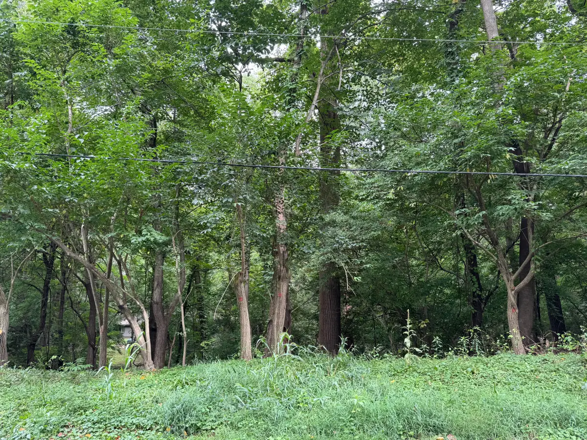 no number E East Court Drive, Michiana, MI 49117 - Image #1