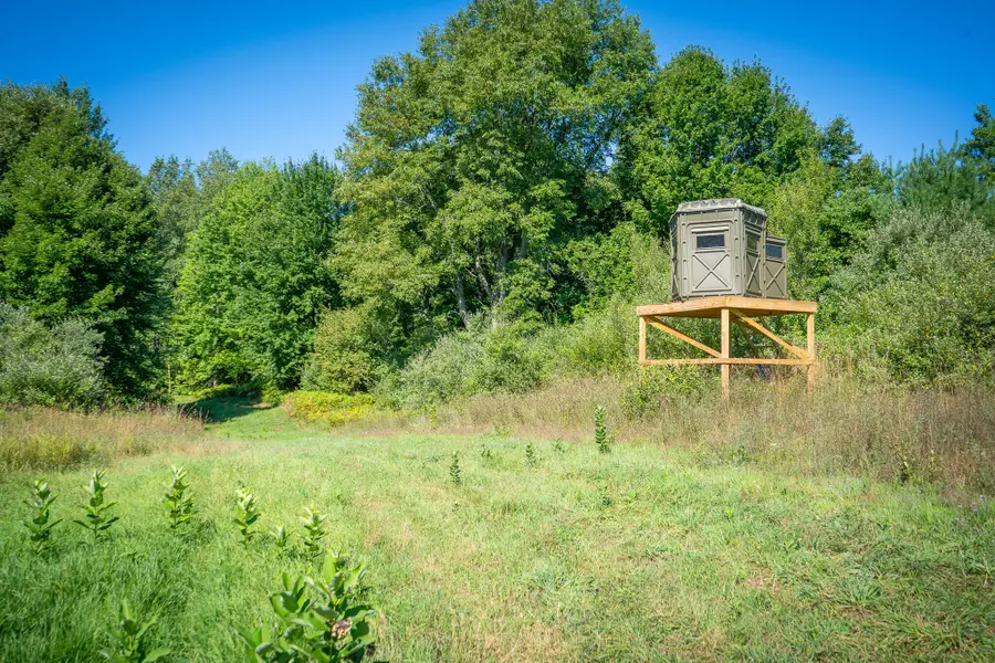 Parcel B N 168th Avenue, Walkerville, MI 49459 - #3