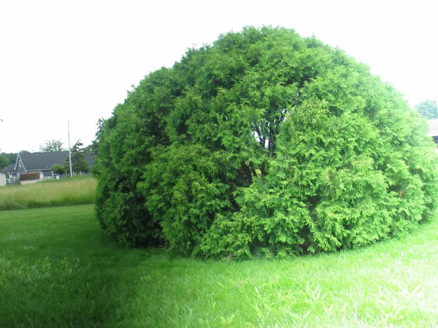 8899 Sussex Court, Onsted, MI 49265 - Image #2