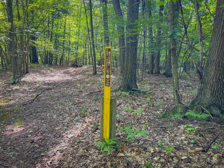 V/L 5A Pine Street, Mears, MI 49436 - Image #3