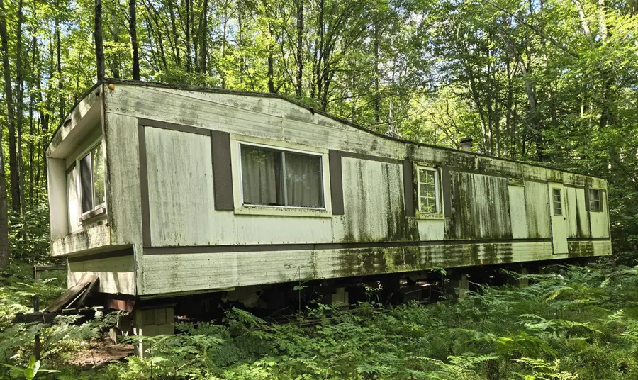 8859 E Grandview Trail, Reed City, MI 49677 - Image #2