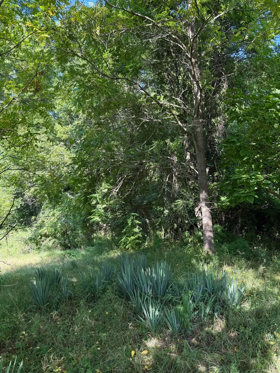 178 Griswold Street, Hillsdale, MI 49242 - Image #2