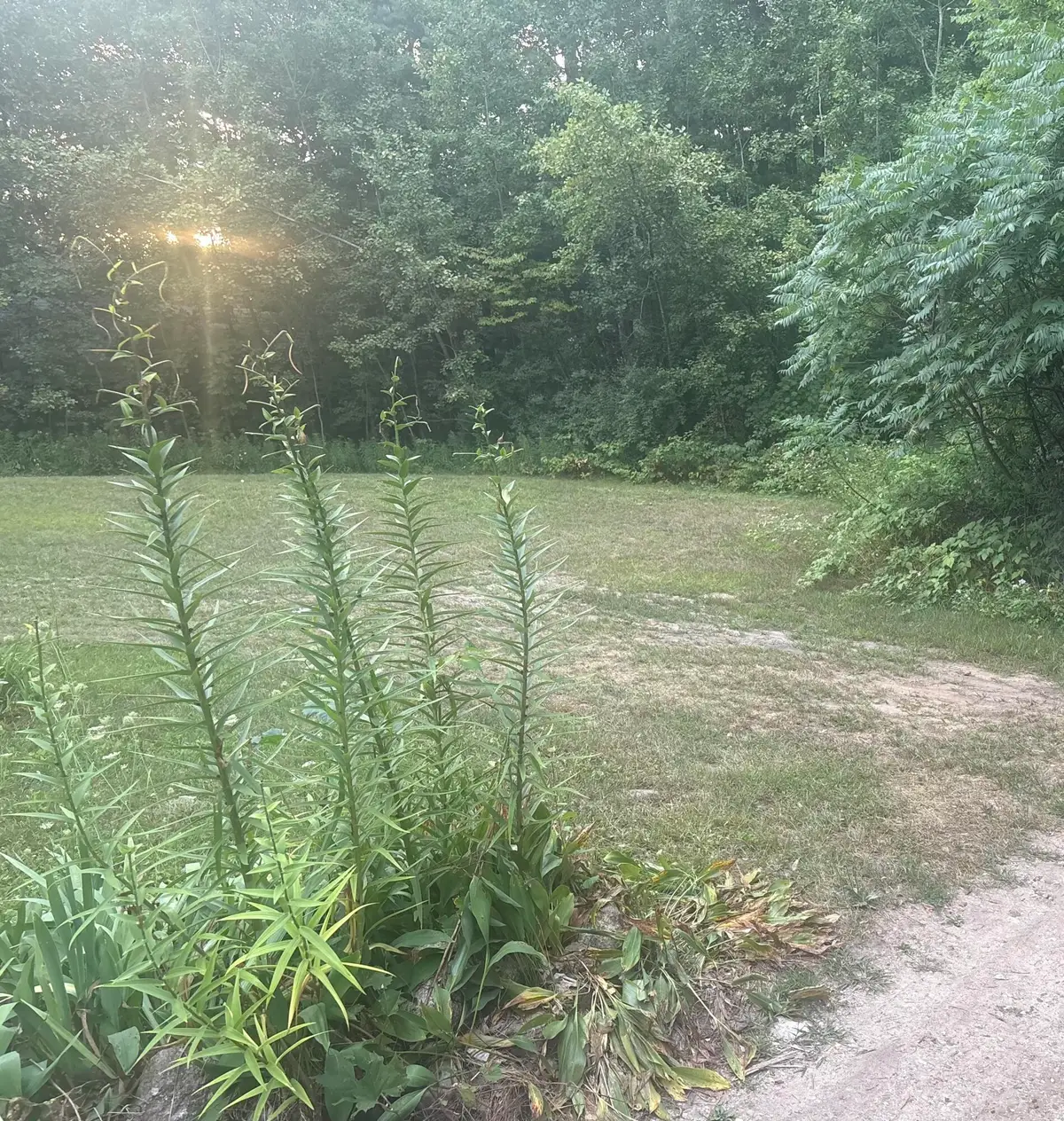 17333 Summit Court, Barryton, MI 49305 - Image #1