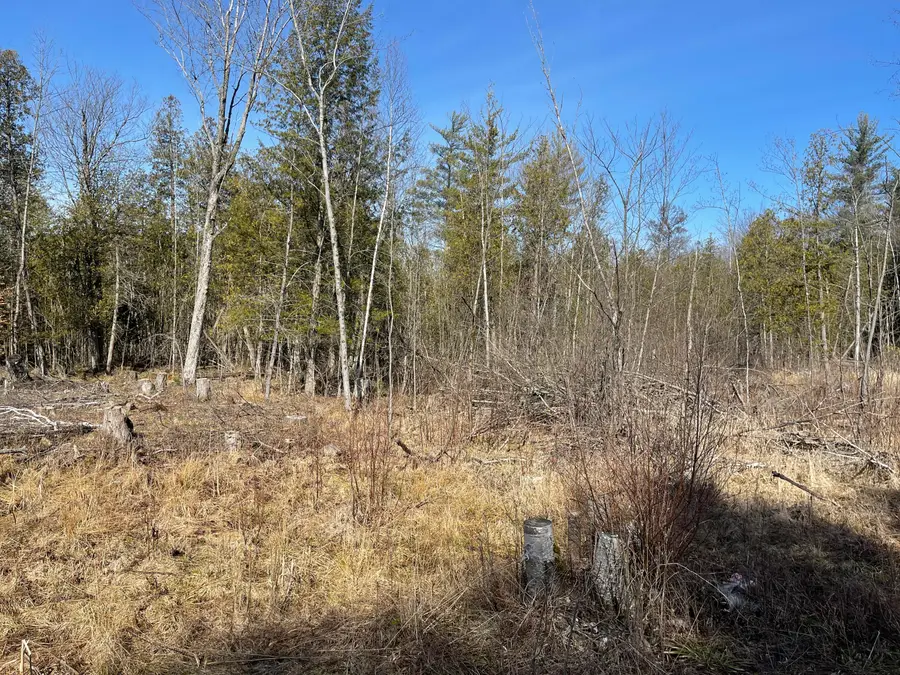 V/L N Lakola, Leroy, MI 49655 - Image #2